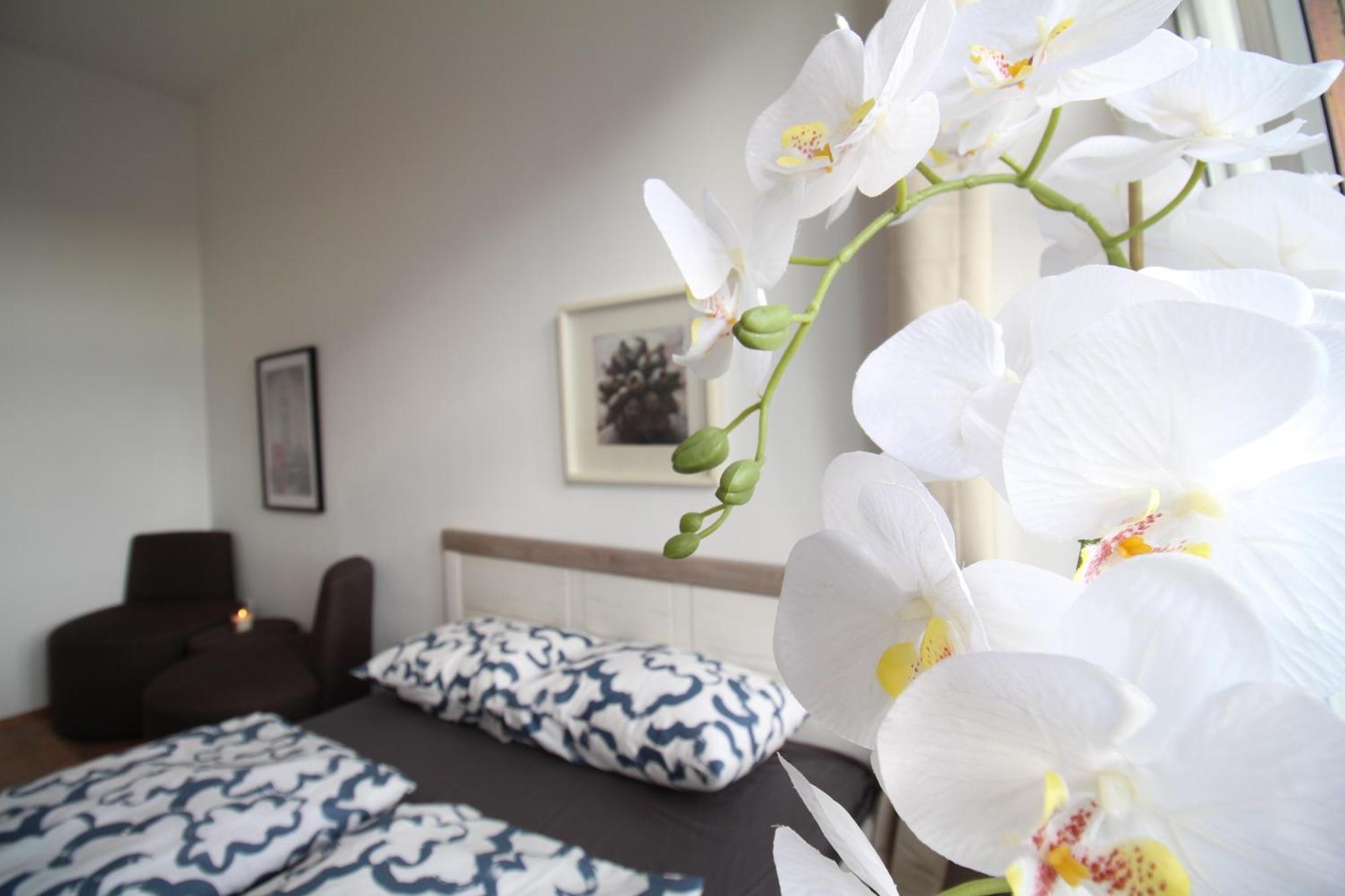 Apartament Spacious In Liesing Area Lv6 Viena
